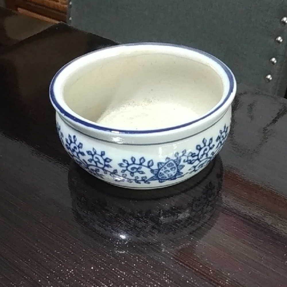 Source Unknown Blue and White Ceramic  Bonsai/ Succulant Planter Dish